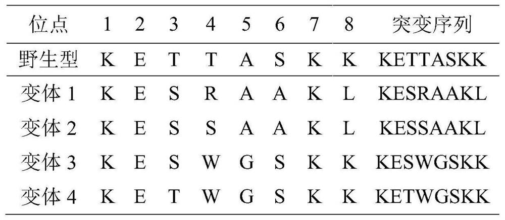 Variant SH2 structural domain having high affinity with tyrosine-containing phosphorylation modification peptide