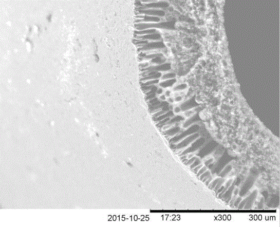 Graphene modified hollow fiber membrane and preparation method thereof