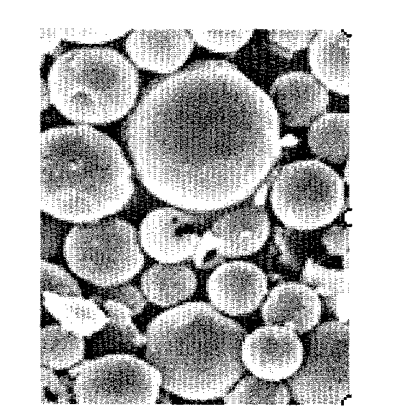 Rivastigmine slow-release microspheres and preparation method thereof