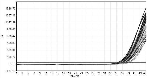 Composition for extracting 2019 novel coronavirus nucleic acid, kit, application and method thereof