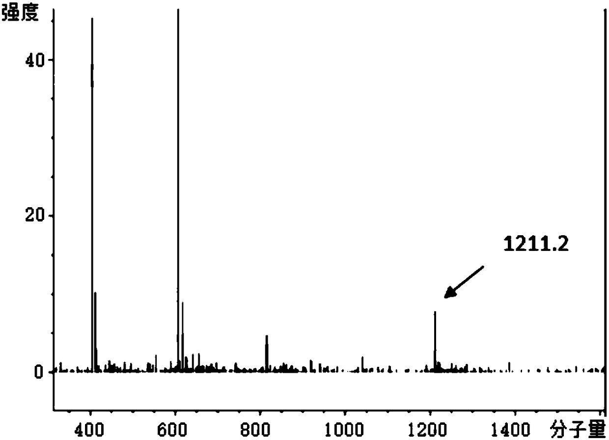 Polypeptide drug conjugate as well as preparation method and application thereof