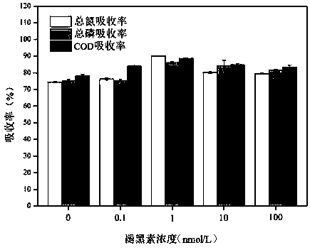 Method for reducing total nitrogen, total phosphorus and COD in low-molasses alcohol waste mash