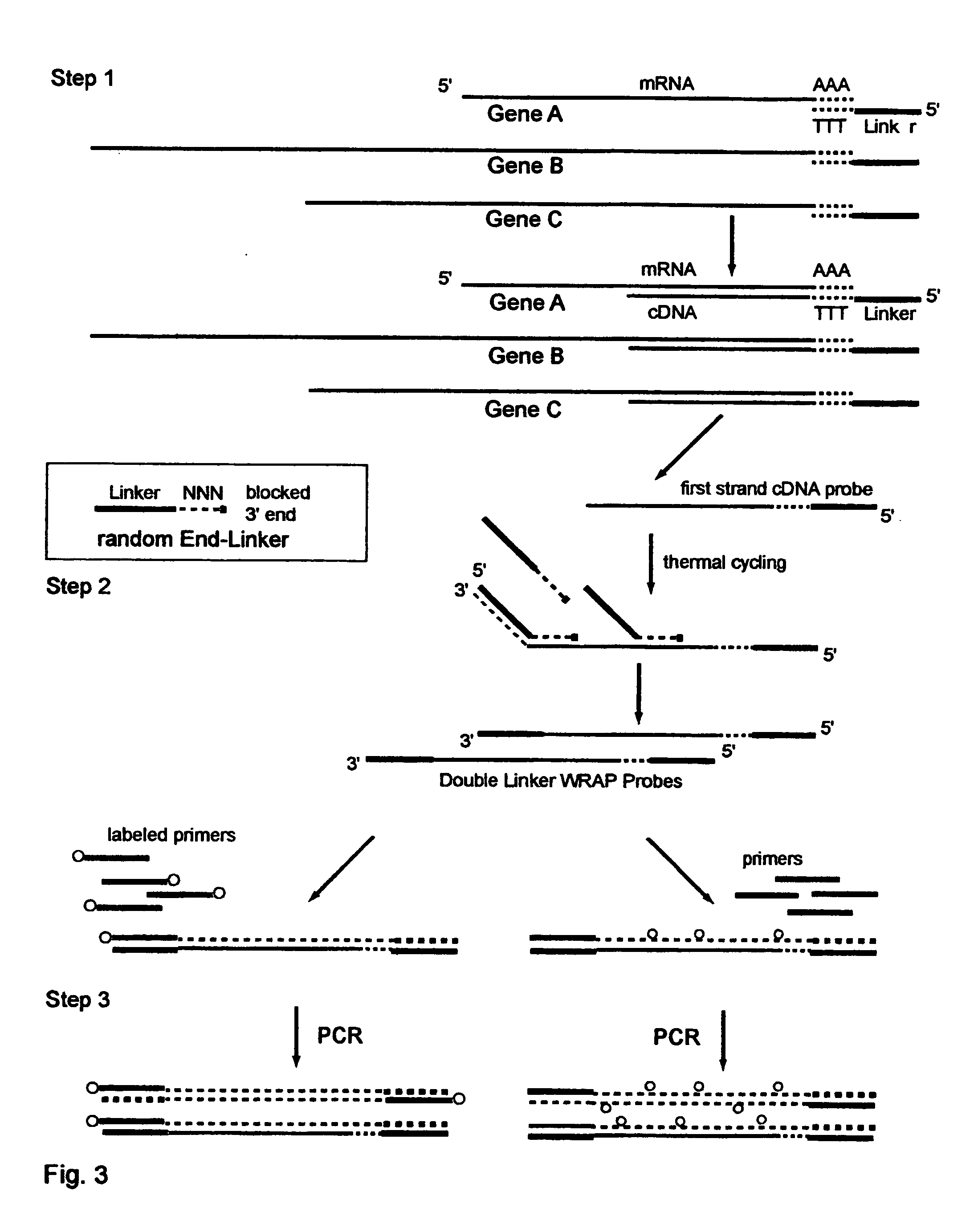 Systems and methods to quantify and amplify both signaling probes for cdna chips and genes expression microarrays