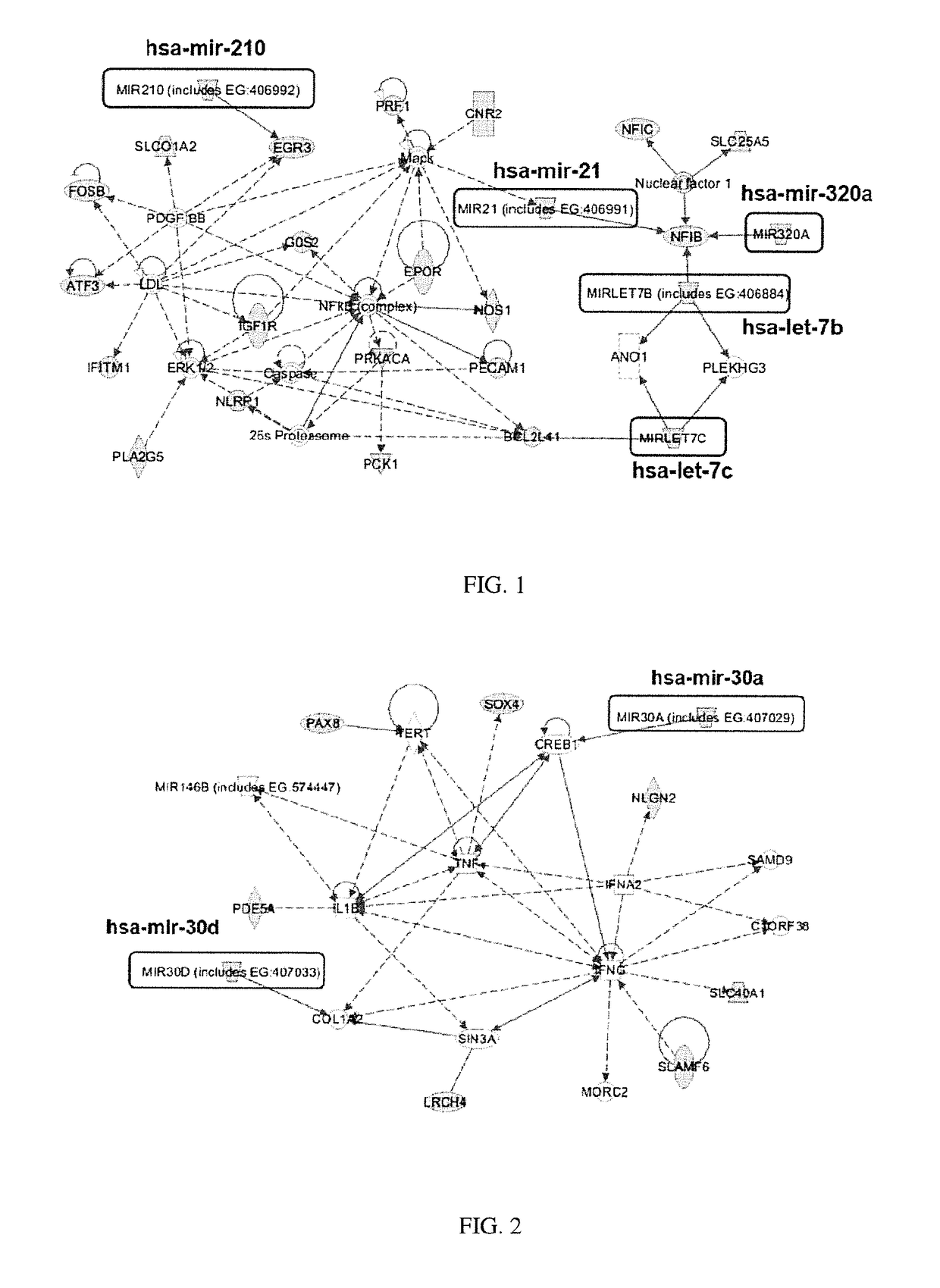 Methods for selecting competent oocytes and competent embryos with high potential for pregnancy outcome