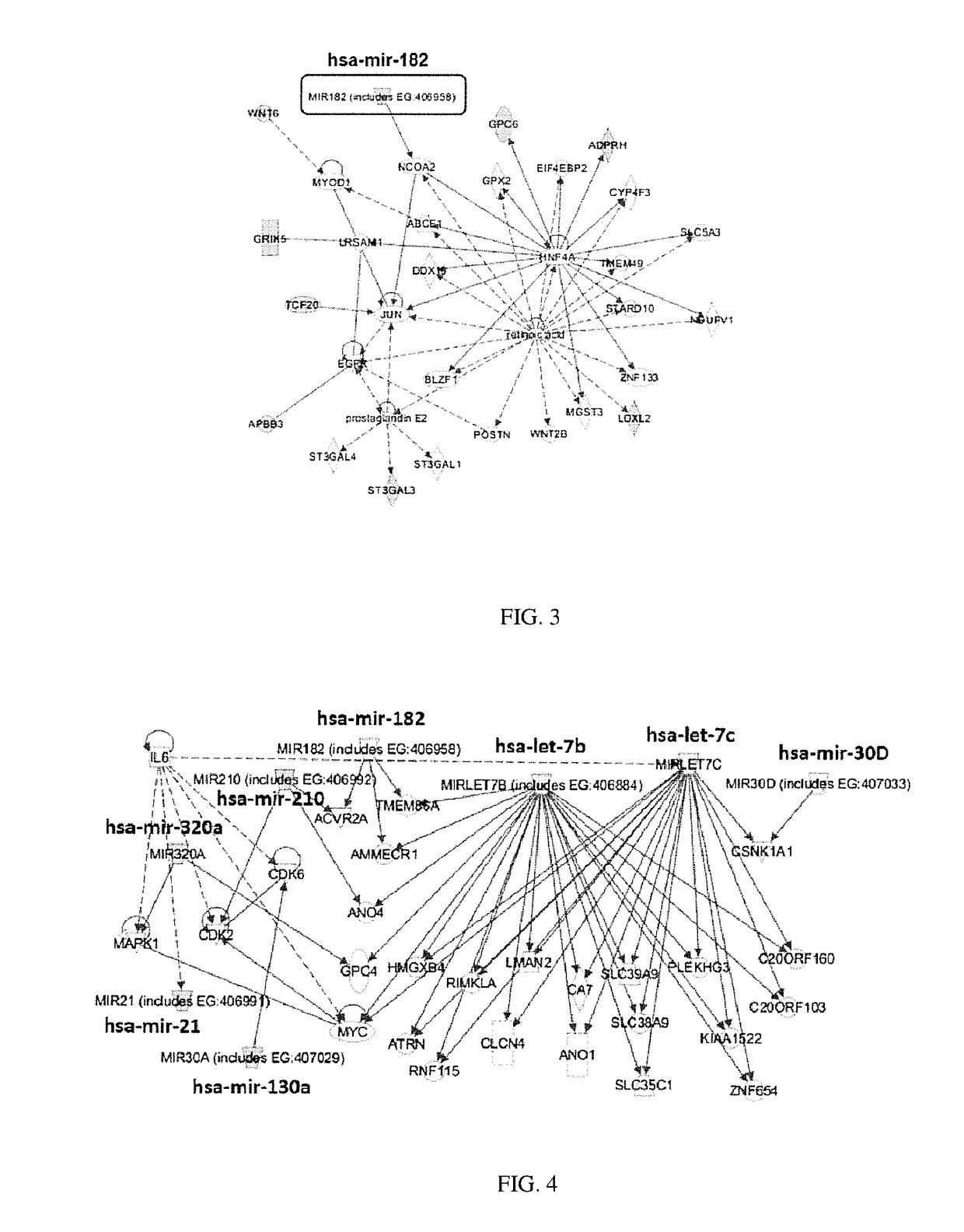 Methods for selecting competent oocytes and competent embryos with high potential for pregnancy outcome