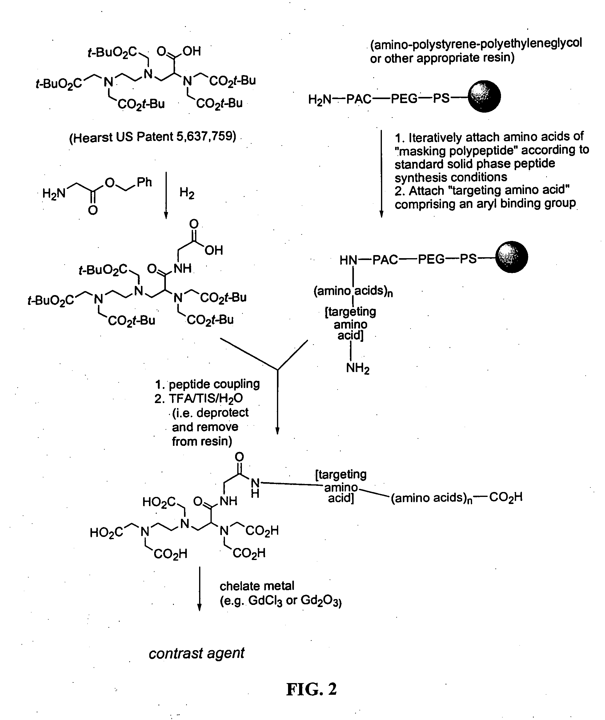 Magnetic resonance imaging using contrast agents bioactivated by enzymatic cleavage