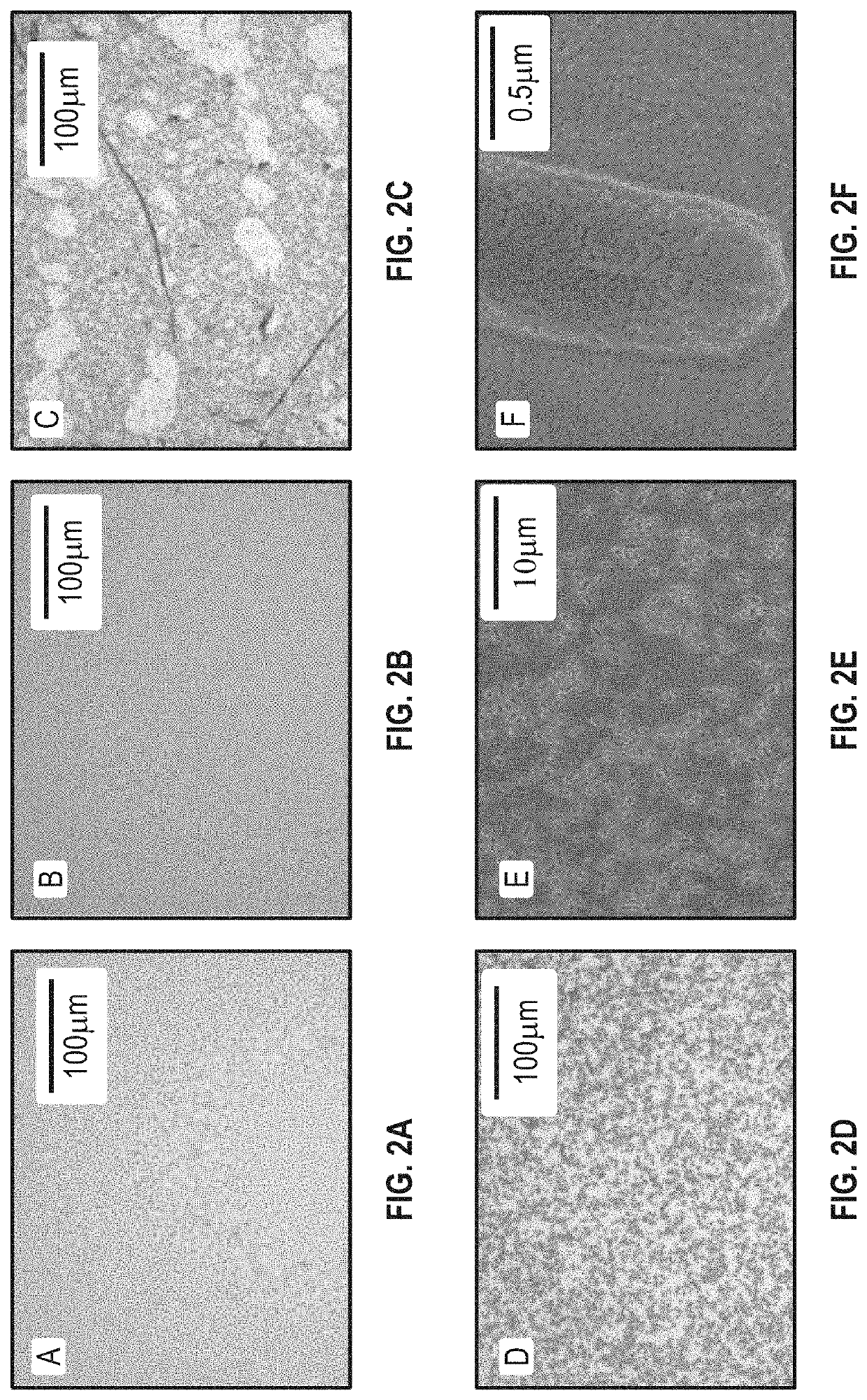 Optical detection of biological components