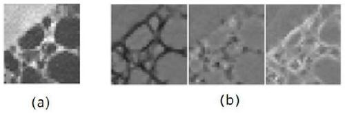 A lung texture recognition method based on deep neural network to extract apparent and geometric features