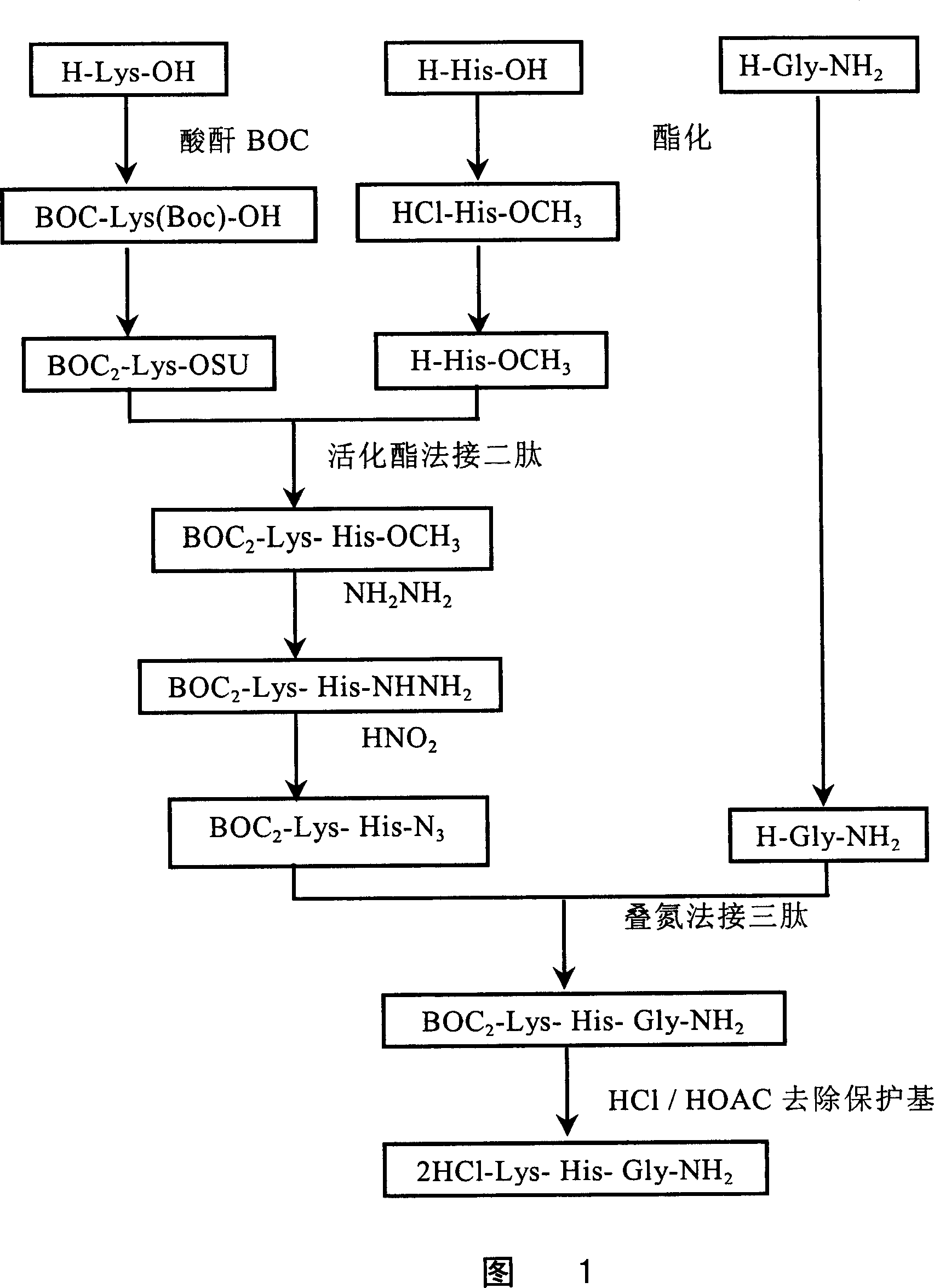 Scale preparation method of bursin and application of used as avian influema vaccine adjuvant