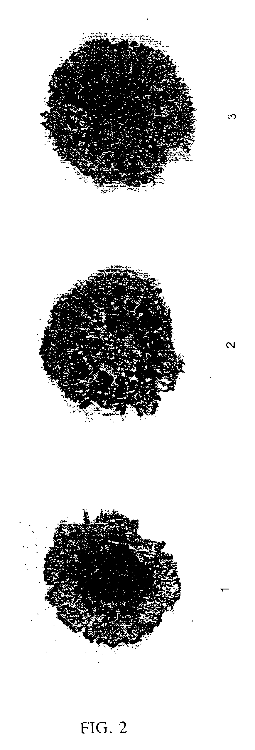 Selected processing for non-equilibrium light alloys and products