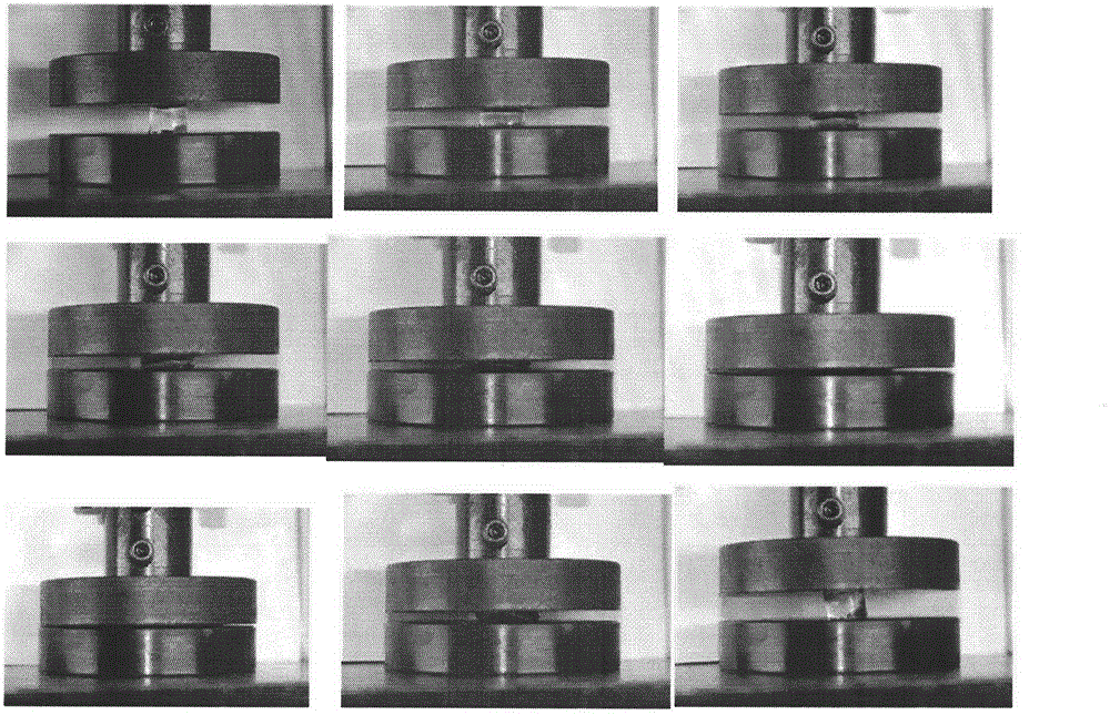 PAAm/PVA dual-network hydrogel and preparation method thereof