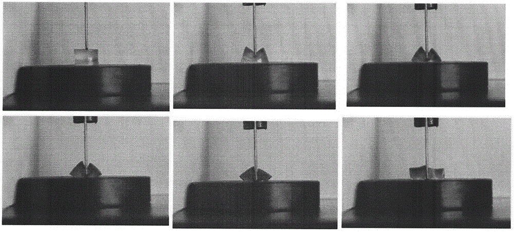 PAAm/PVA dual-network hydrogel and preparation method thereof