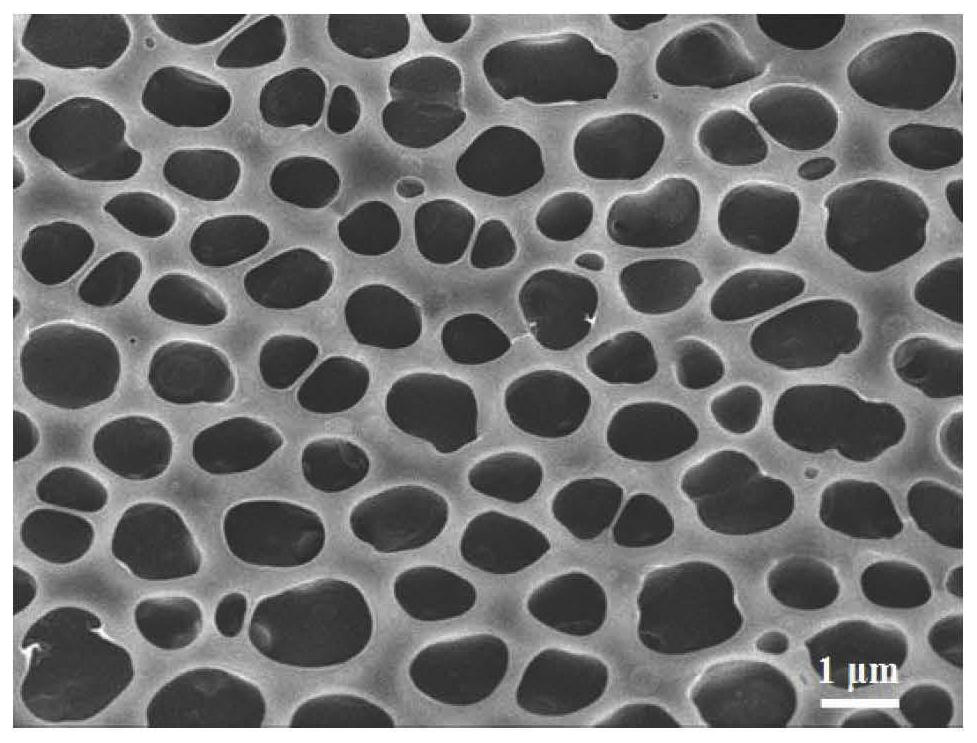 A kind of lignin-reinforced bio-based shape-memory thermoplastic elastomer and its preparation method and application