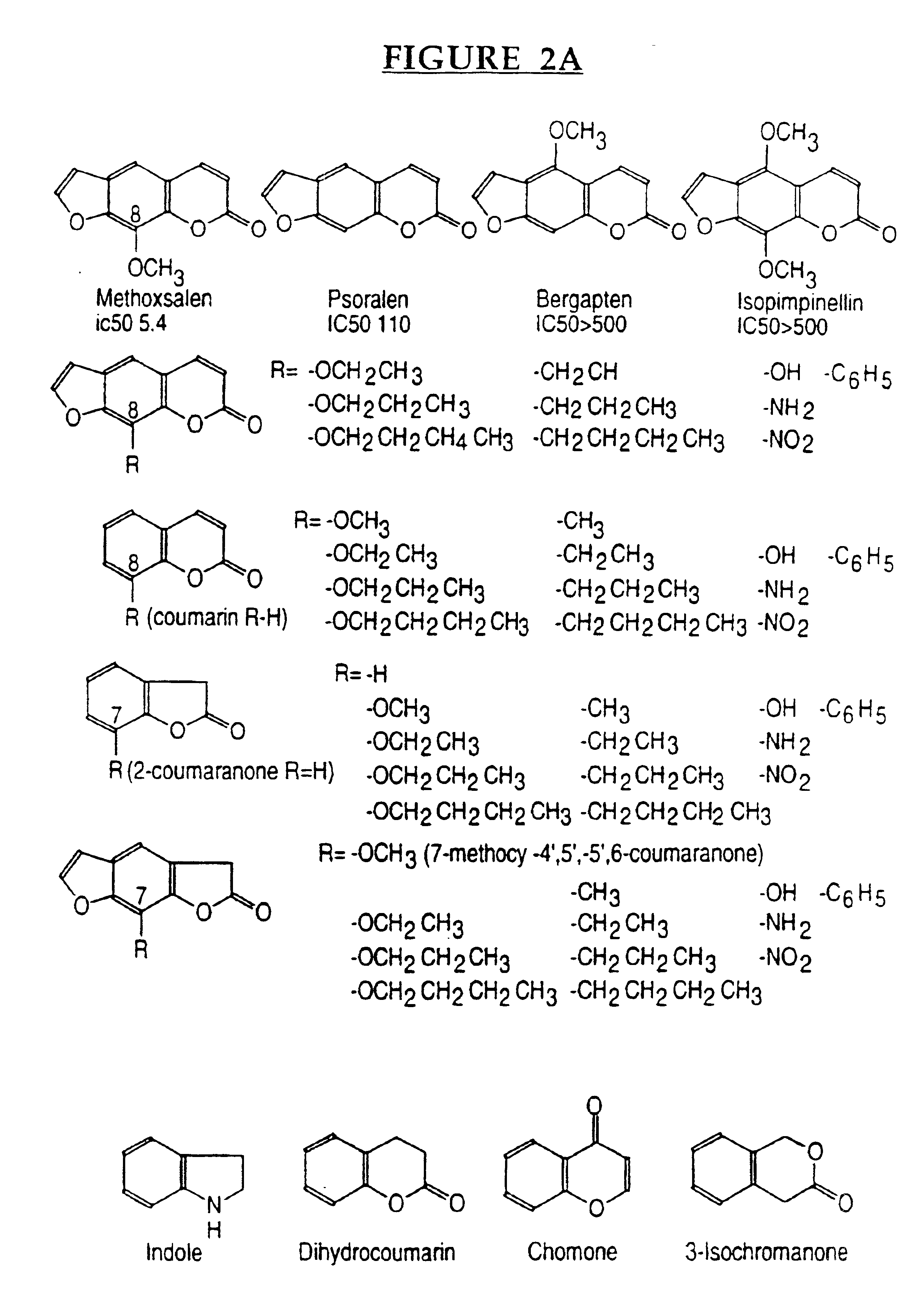 Therapeutic and diagnostic methods dependent on CYP2A enzymes