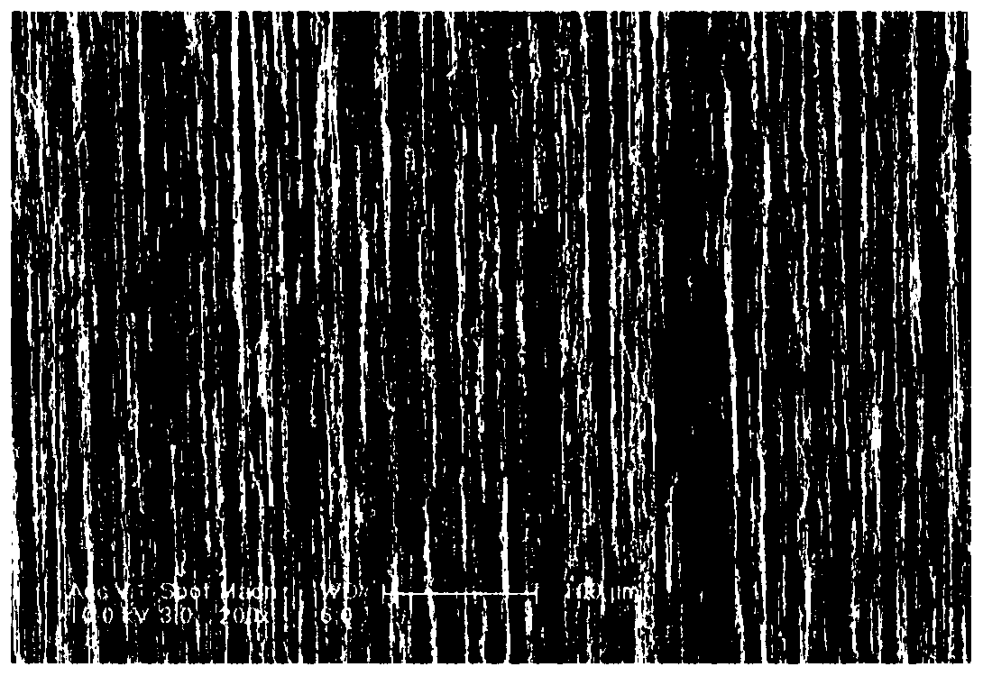 organic light emitting diode