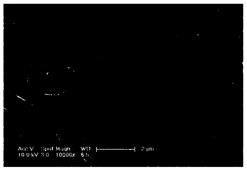 organic light emitting diode