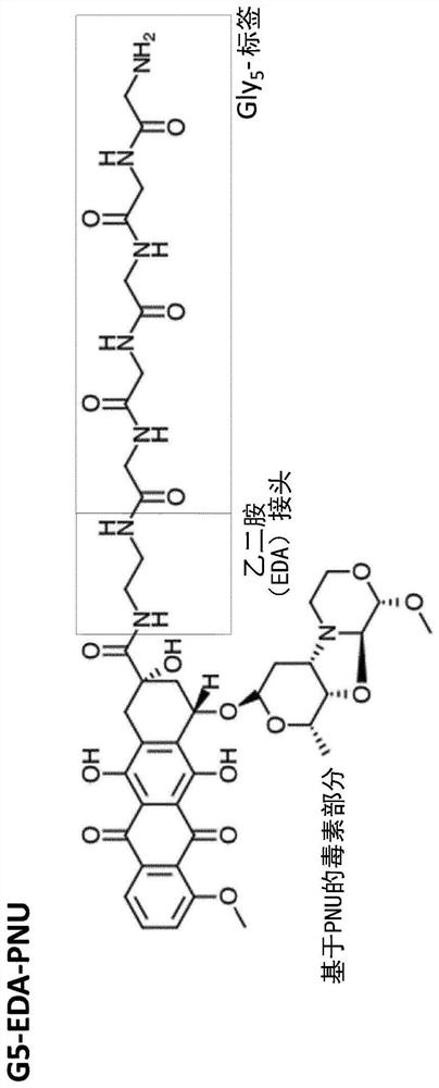 Binding protein-toxin conjugates comprising anthracyclines, and use thereof in immune-oncological applications