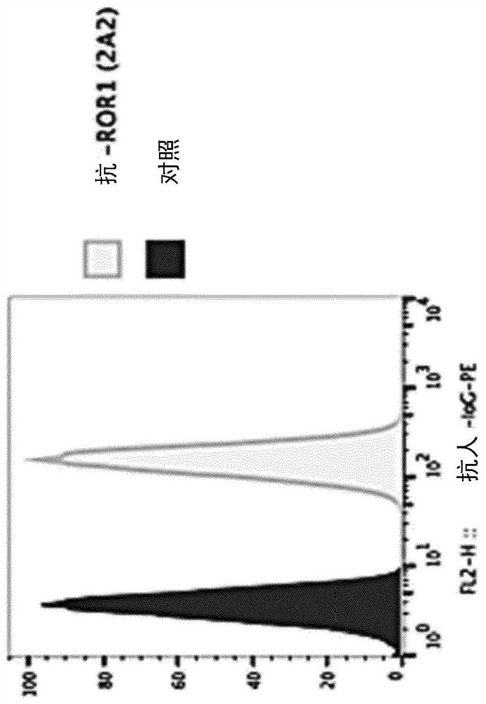 Binding protein-toxin conjugates comprising anthracyclines, and use thereof in immune-oncological applications