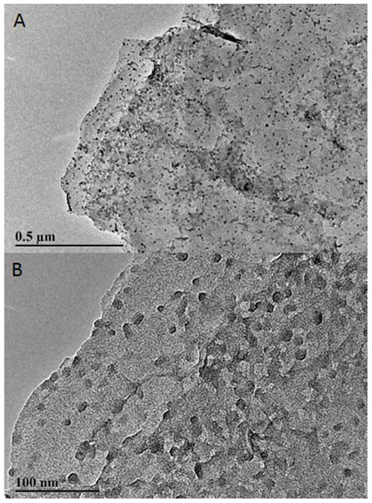 Preparation and application of nucleic acid aptamer-nickel ferricyanide nanoparticles-rgo electrode