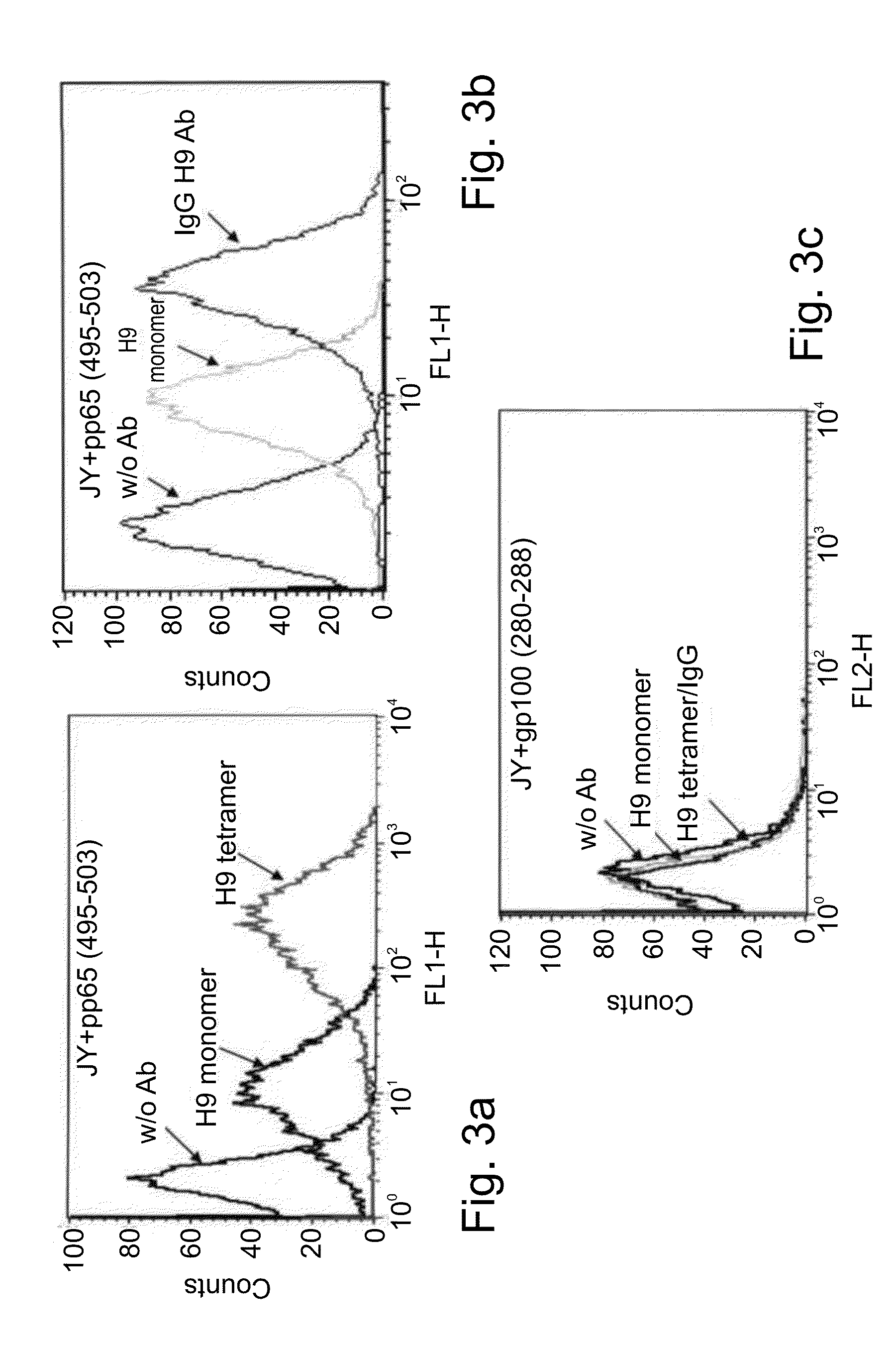 Antibodies and their uses for diagnosis and treatment of cytomegalovirus infection and associated diseases