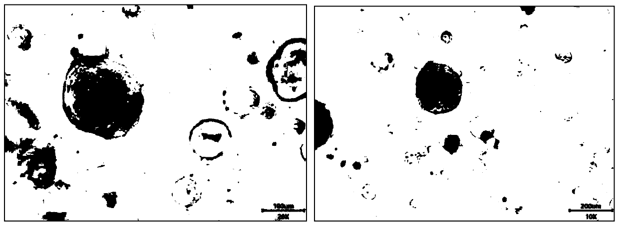 Nasal mucosa organoid culture medium and culture method