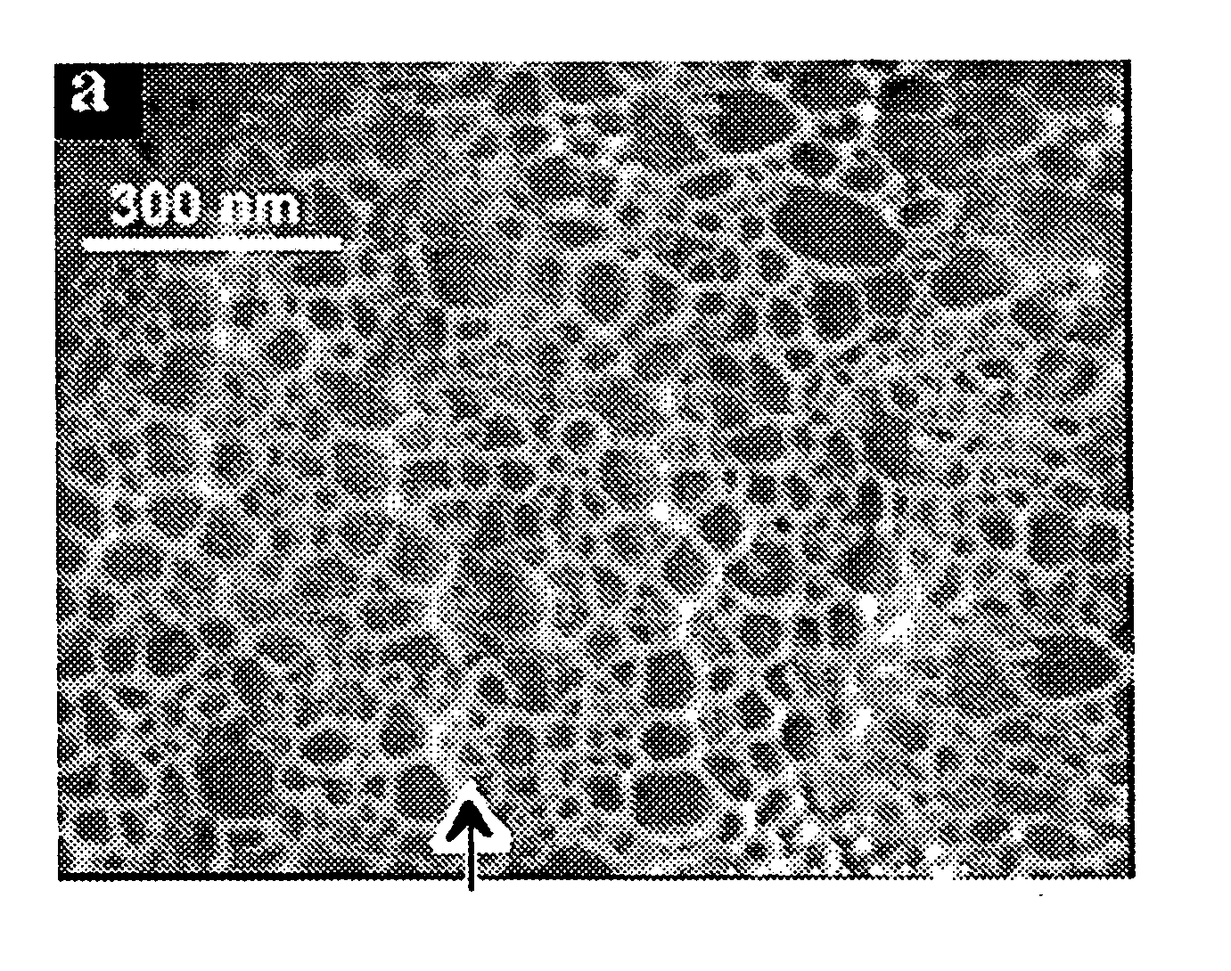 Formation of metal oxide nanowire networks (nanowebs) of low-melting metals