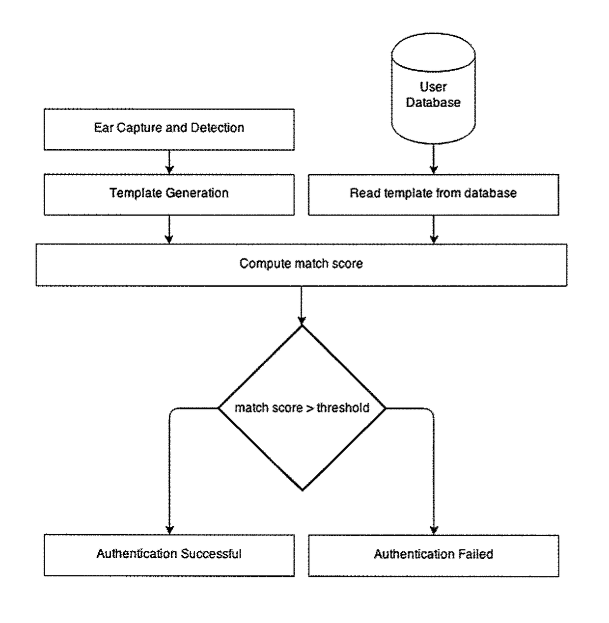 Ear biometric capture, authentication, and identification method and system