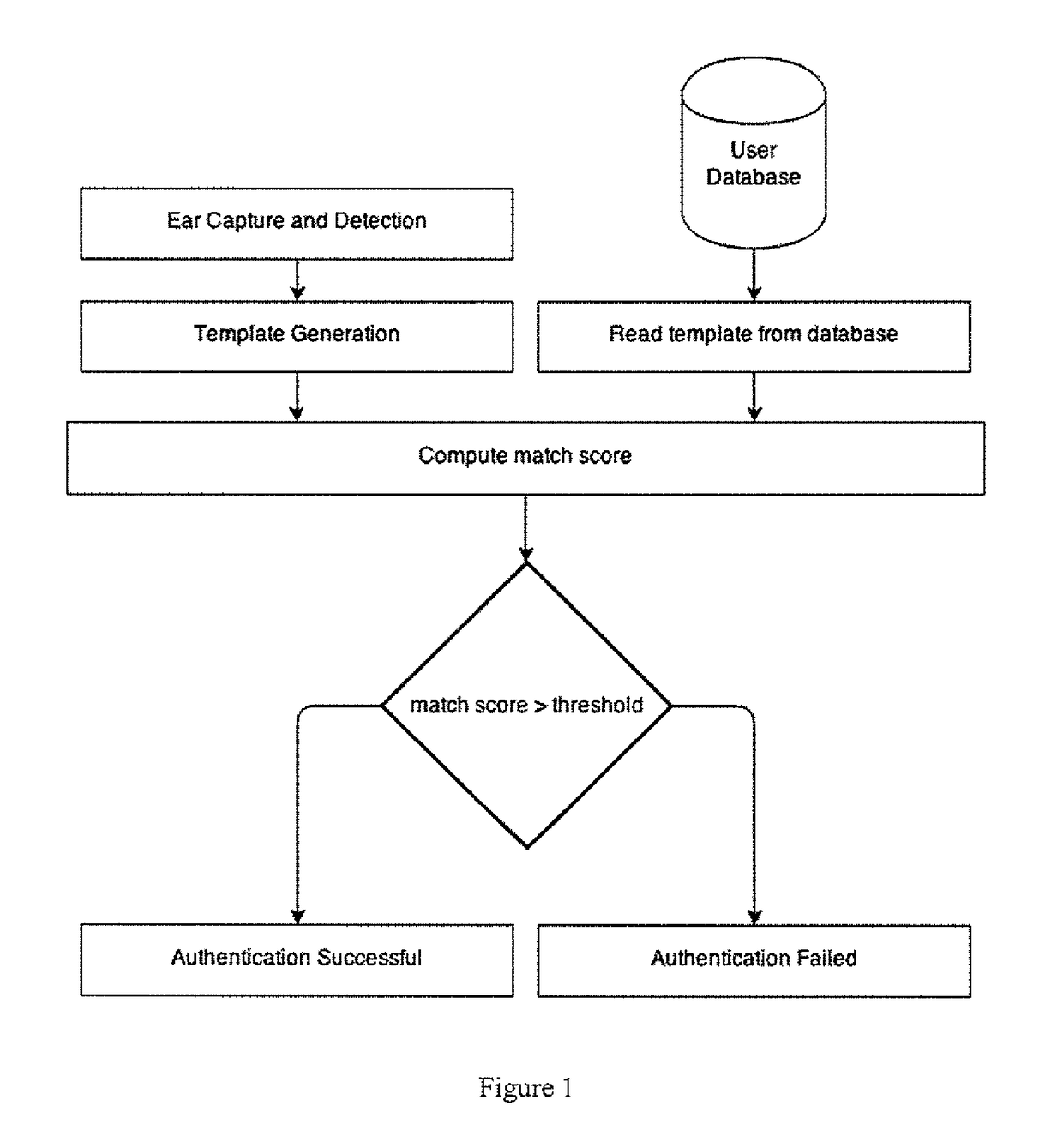 Ear biometric capture, authentication, and identification method and system