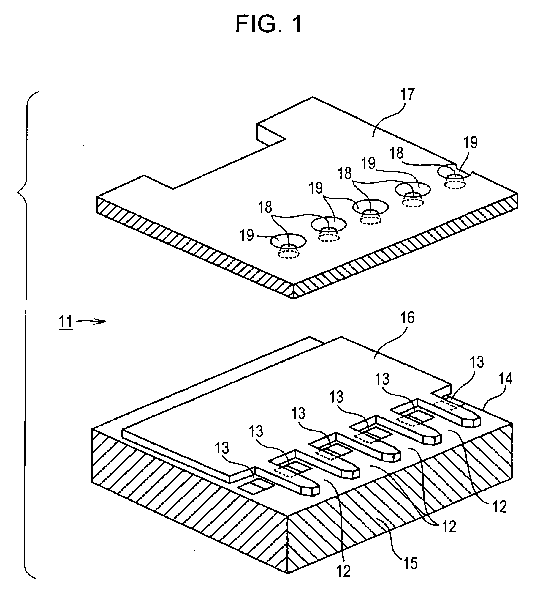 Liquid ejection head, liquid ejection apparatus, and method for fabricating liquid ejection head