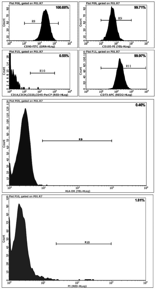 Culture medium for primary umbilical cord mesenchymal stem cells and application of culture medium