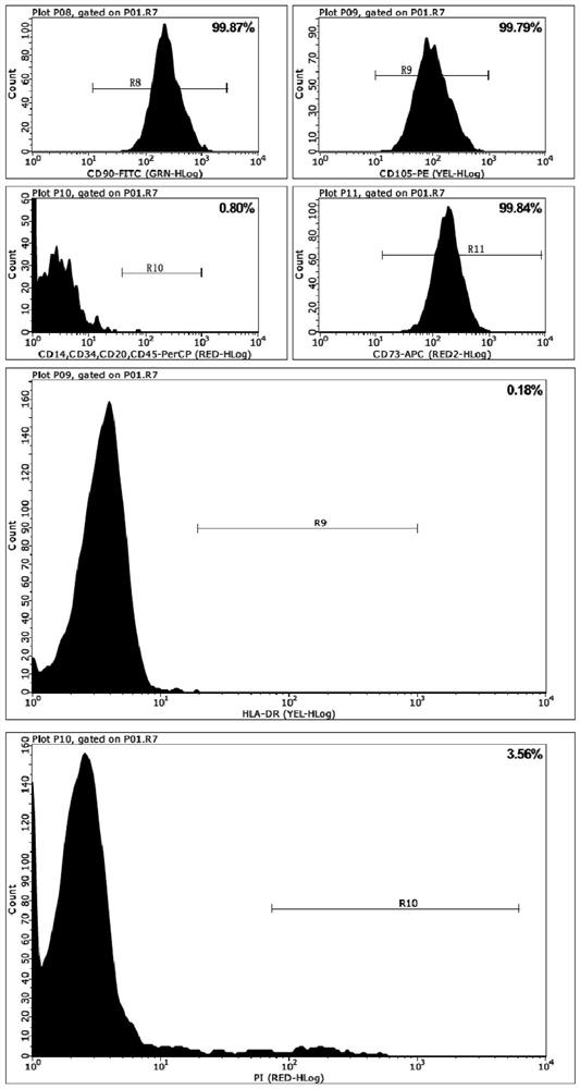 Culture medium for primary umbilical cord mesenchymal stem cells and application of culture medium