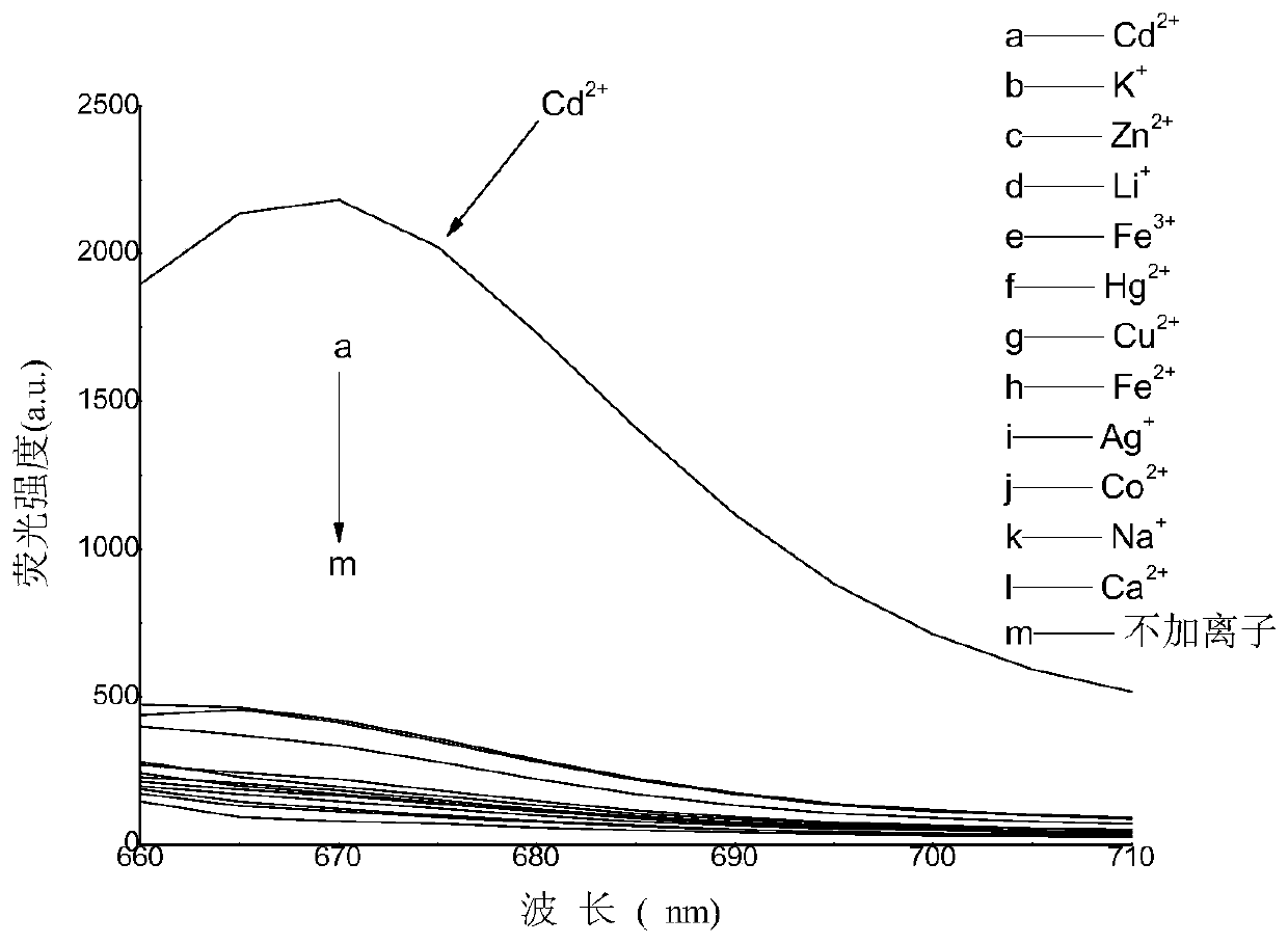 A guanine-based squaraine probe and its preparation method and application