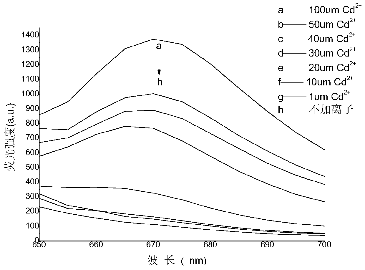 A guanine-based squaraine probe and its preparation method and application