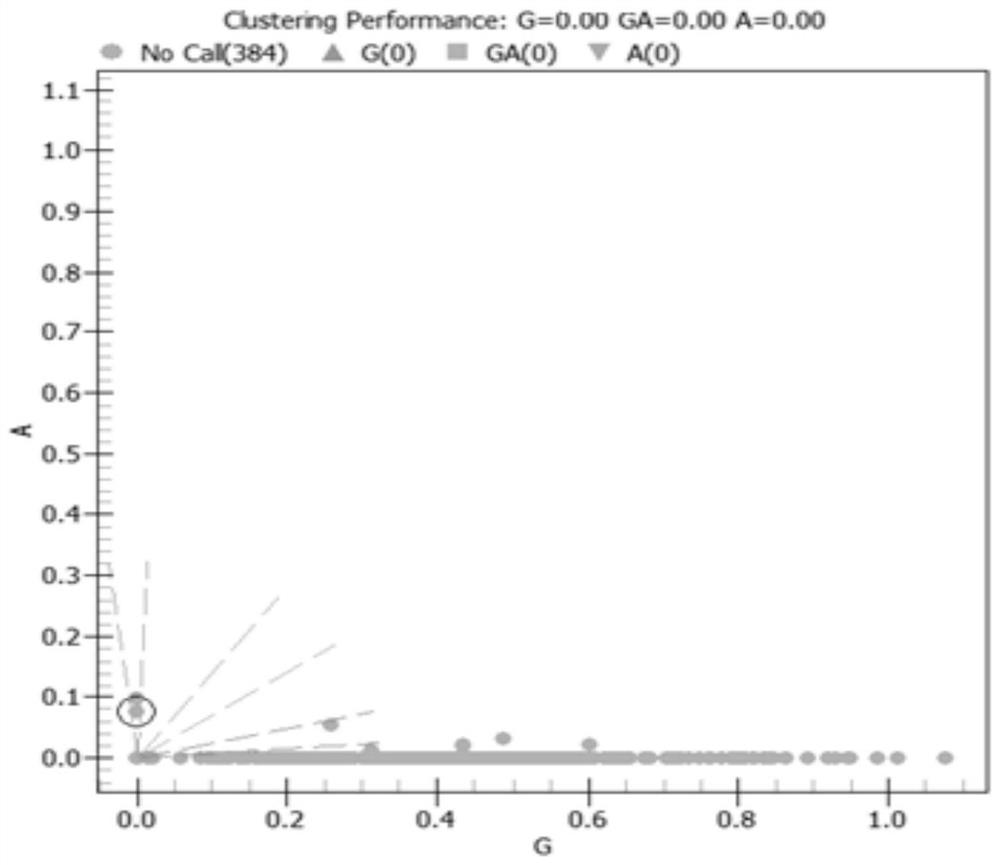 SNP (Single Nucleotide Polymorphism) molecular marker related to rabbit muscle quality character and application of SNP molecular marker