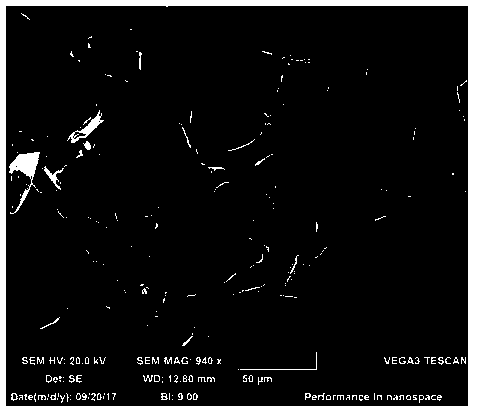 Negative pole piece of lithium-ion battery and preparation method of negative pole piece of lithium-ion battery