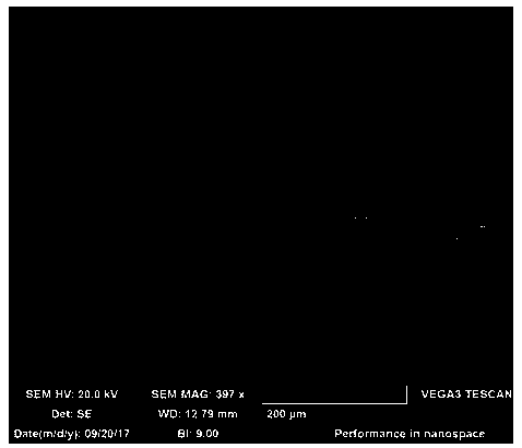 Negative pole piece of lithium-ion battery and preparation method of negative pole piece of lithium-ion battery