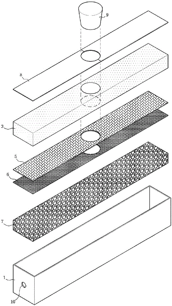 Cultivation management apparatus for edible perennial herbaceous flowering plants, and bulbs and tubers