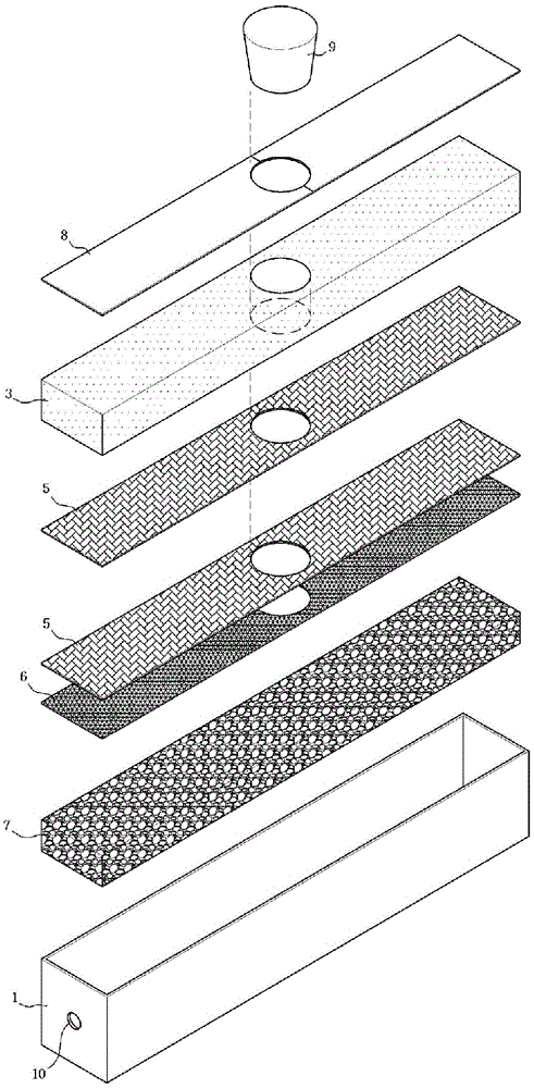 Cultivation management apparatus for edible perennial herbaceous flowering plants, and bulbs and tubers