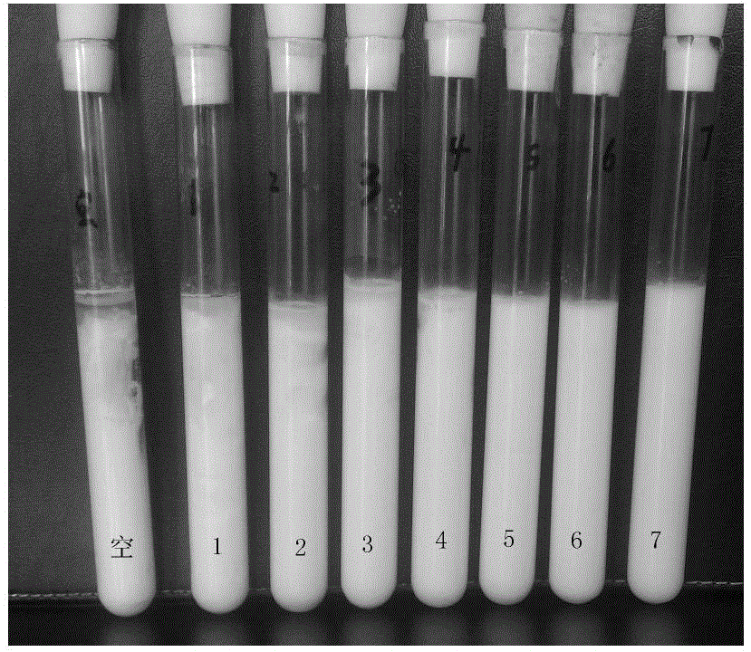 Bacillus subtilis capable of producing broad spectrum and efficient antibacterial peptide and application of Bacillus subtilis