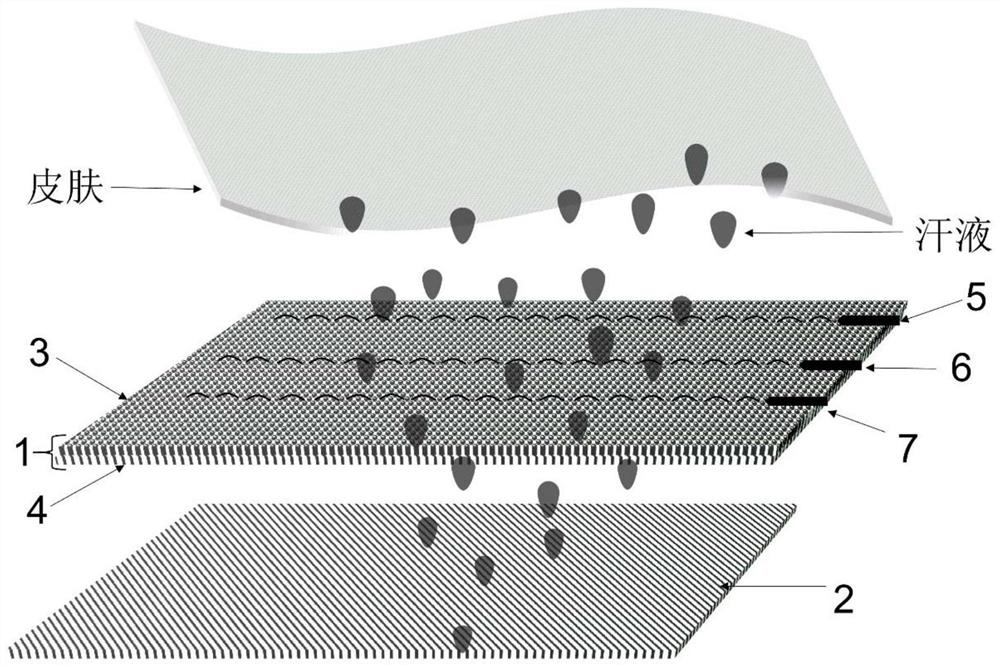 One-way flow guide fabric-based wearable sweat sensor and preparation method thereof