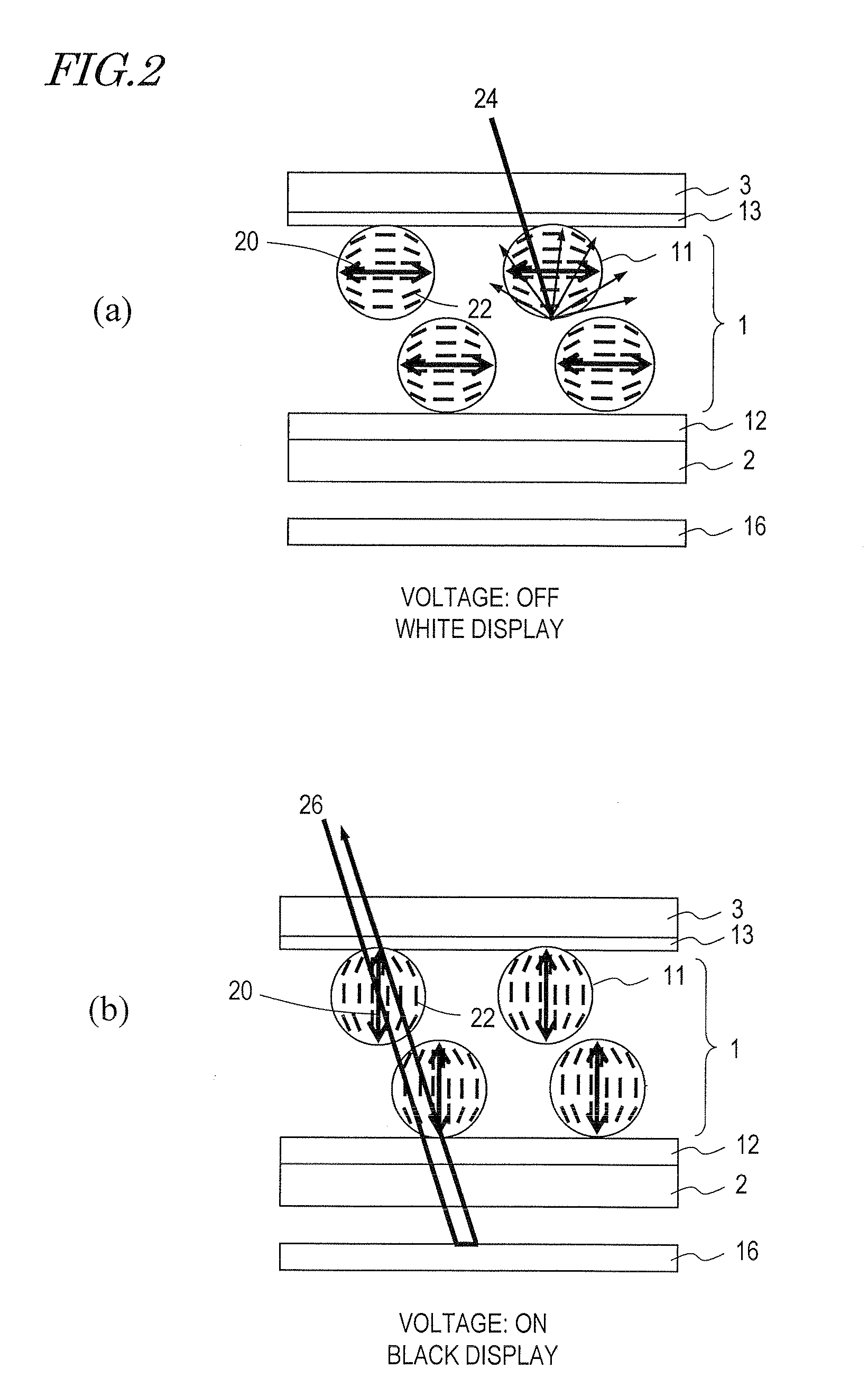 Reflection type liquid crystal display device with controlled directors