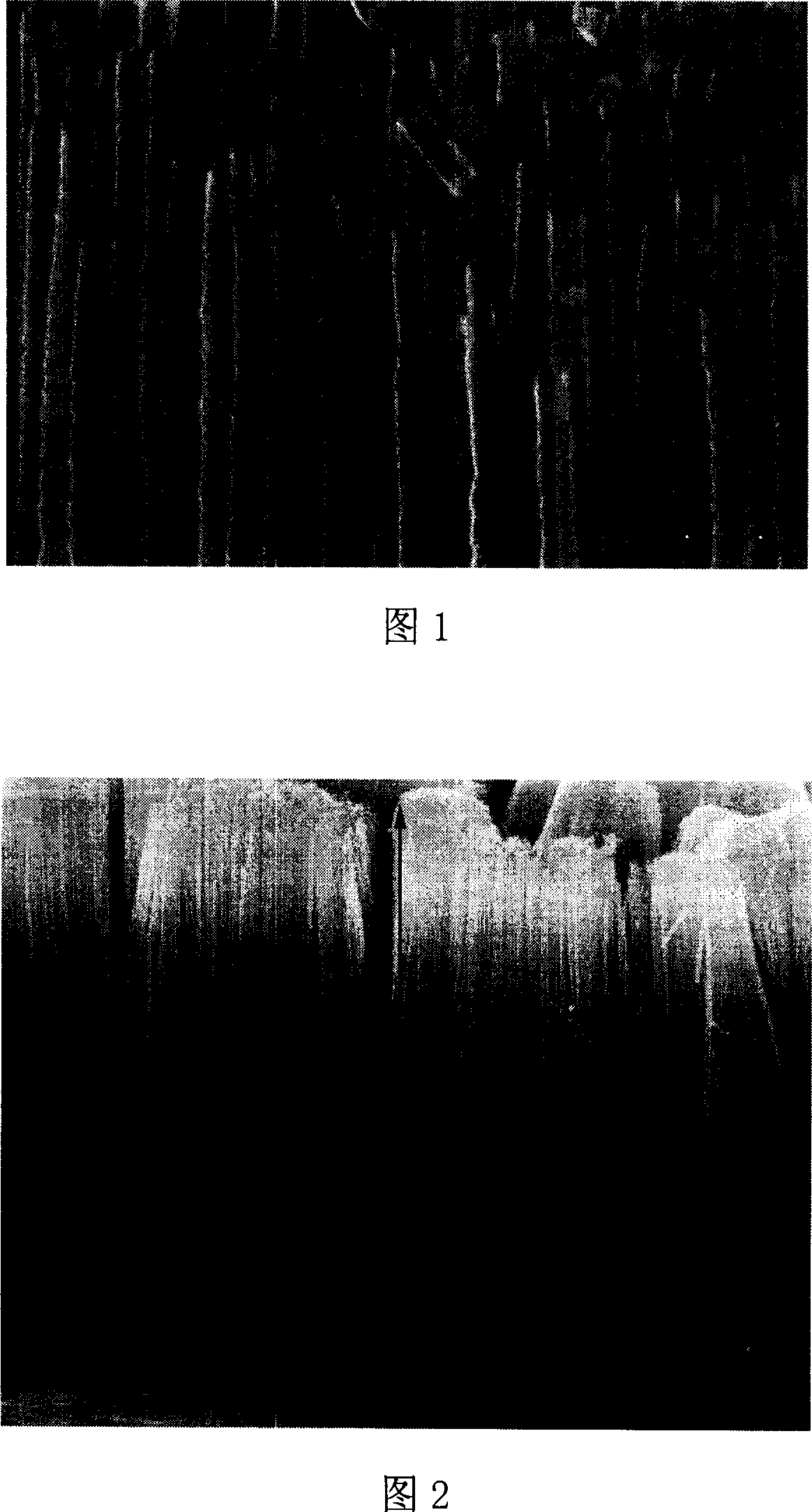 Method of preparing TiO2 nano pipe array by anodic oxidation method