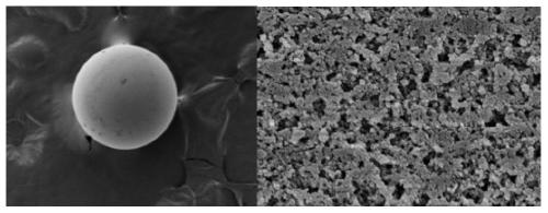 Hydrophilic/hydrophobic polyacrylamide and polystyrene interpenetrating polymer network and application thereof