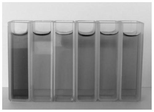 Hydrophilic/hydrophobic polyacrylamide and polystyrene interpenetrating polymer network and application thereof