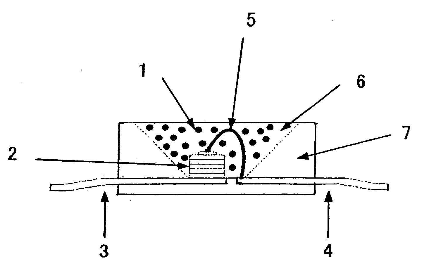 Illuminator with fluorescent substance