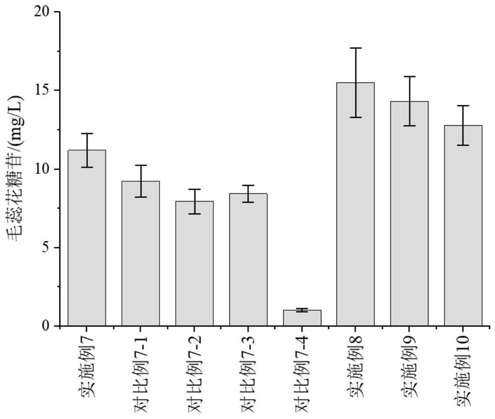 Humulus lupulus polysaccharide nanoparticles and preparation method and application thereof