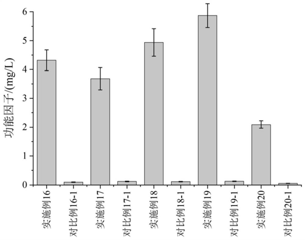 Humulus lupulus polysaccharide nanoparticles and preparation method and application thereof