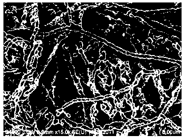 CaCu3Ti4O12 micro nano sized fiber and its preparation method