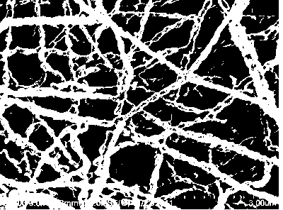 CaCu3Ti4O12 micro nano sized fiber and its preparation method