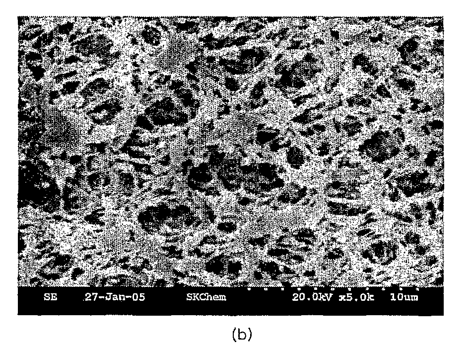 Hollow Fiber Membrane and Preparing Method Thereof